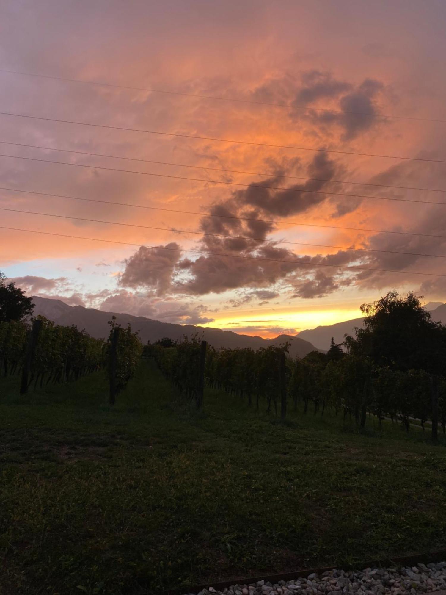 Agritur Verderame Trento Kültér fotó